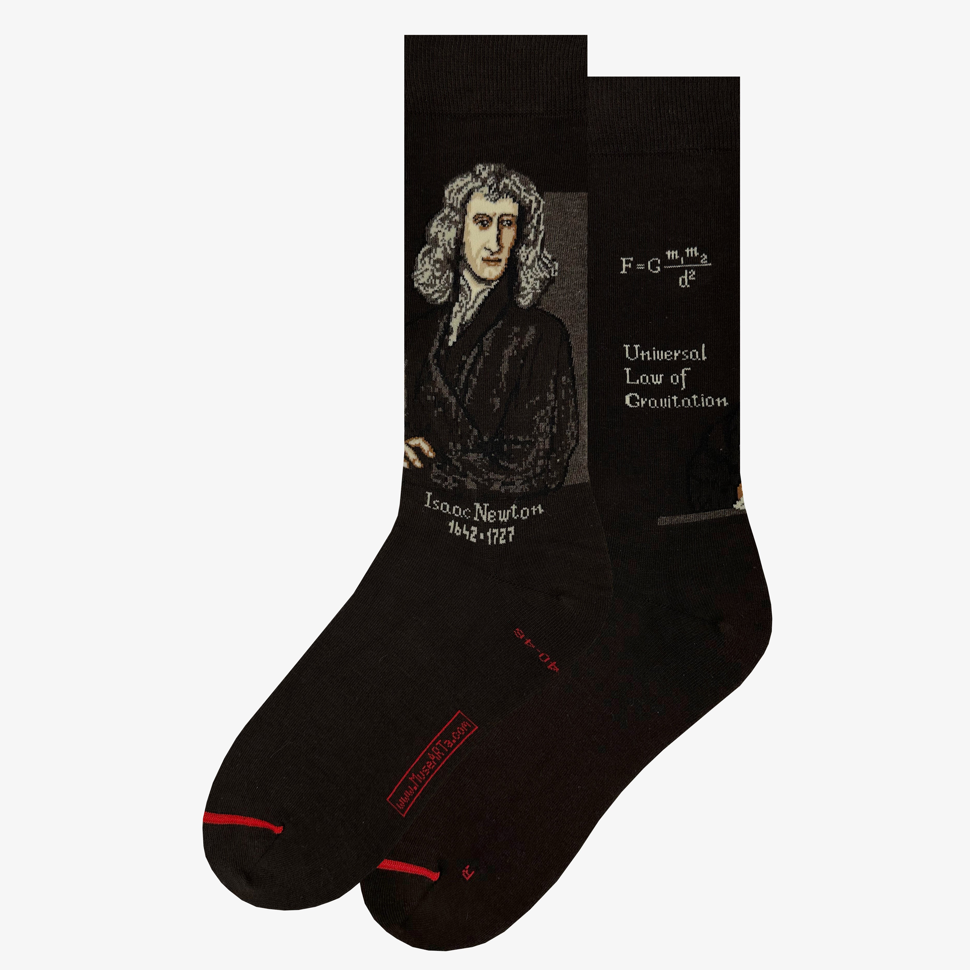 Science And History Isaac Newton 8497