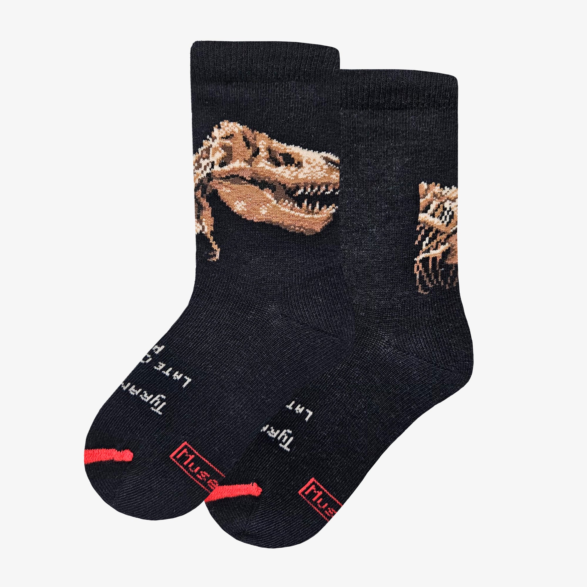 Dinosaurs – Tyrannosaurus rex 2