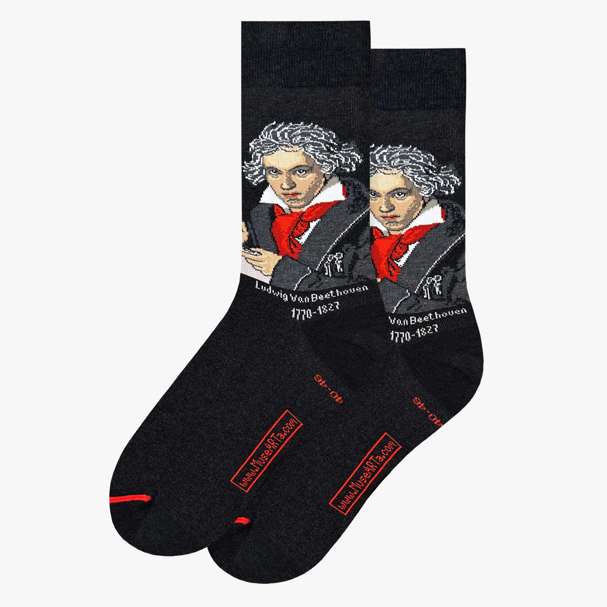 Joseph Karl Stieler - Ludwig van Beethoven