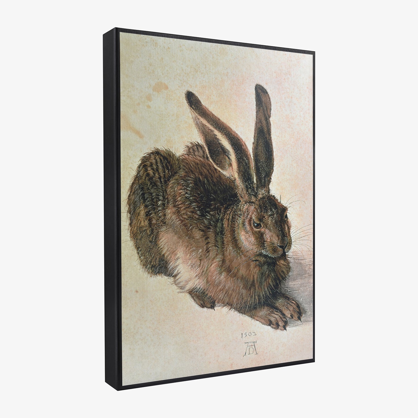 Albrecht Dürer - Hare - gift box