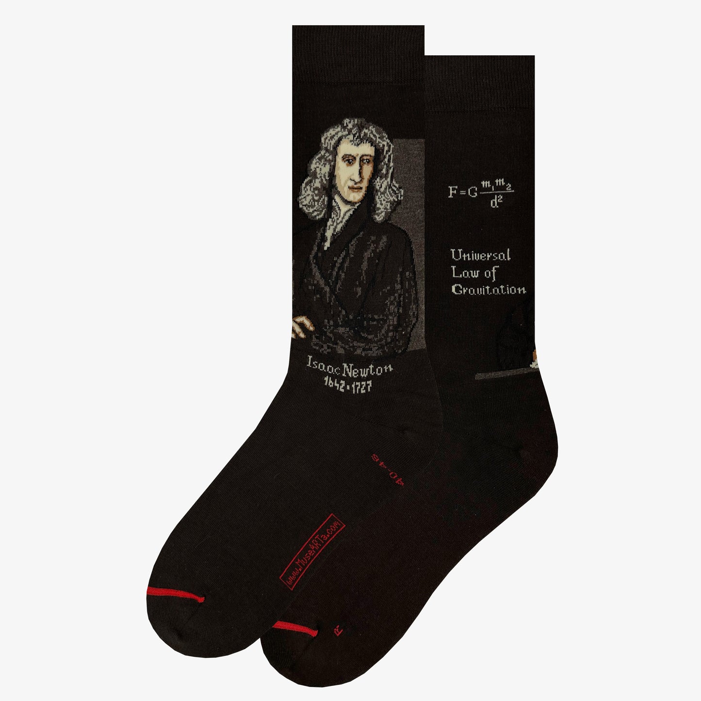Science &amp; History - Isaac Newton