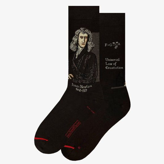 Science et histoire - Isaac Newton
