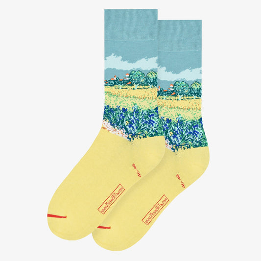 Vincent van Gogh - Field of Irises near Arles